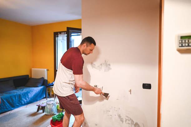 Best Mold Removal Near Me  in Citrus Park, FL